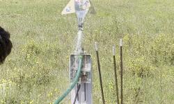 Featured image of post Water Rocket